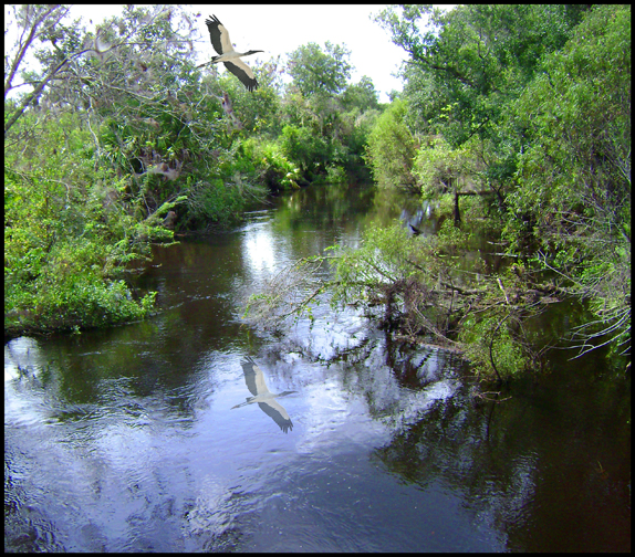 peace river preserve elk